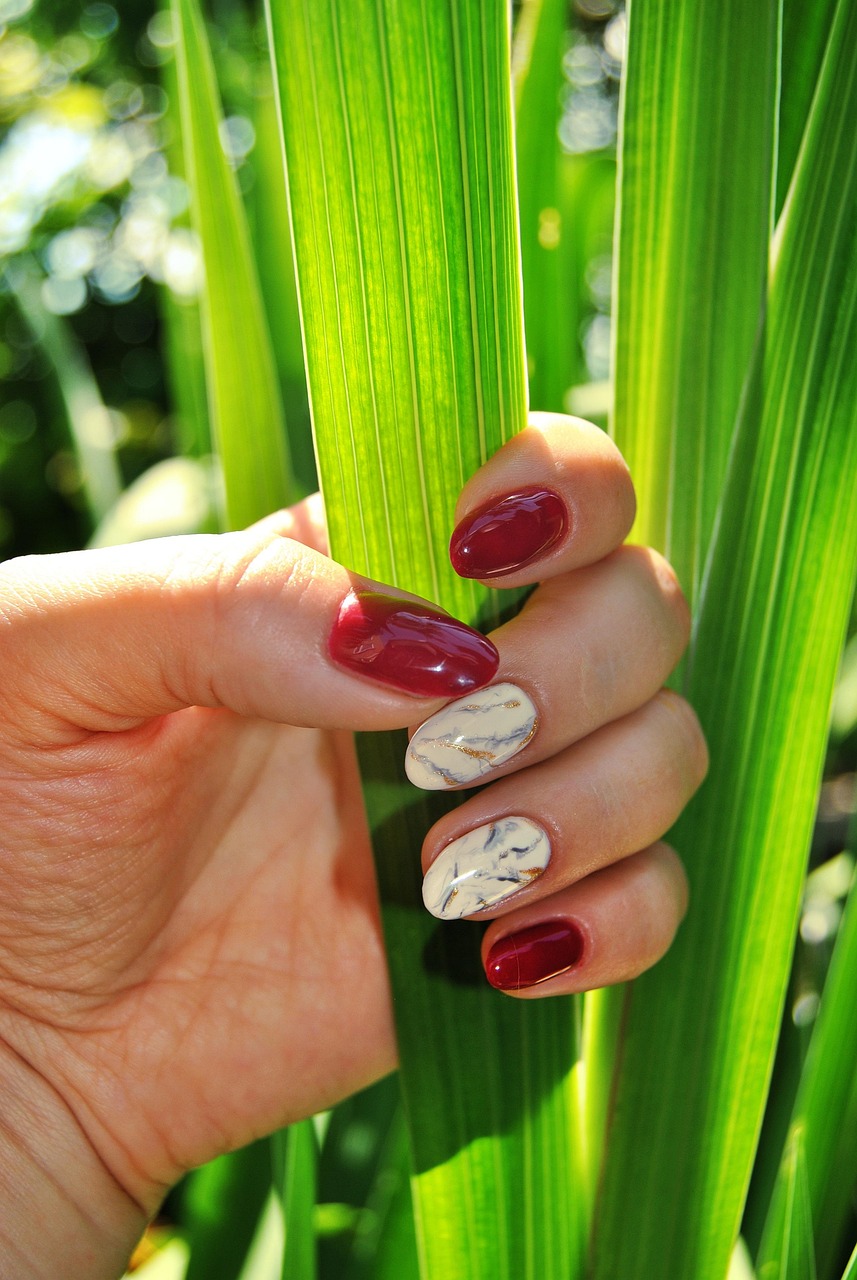 hand, lacquer, hands, hybrid, manicure, cosmetics, nails, hybrids, painting, woman, red, elegance, beauty, toiletry bag, nail, cosmetic, nails, nails, nails, nails, nails, nail